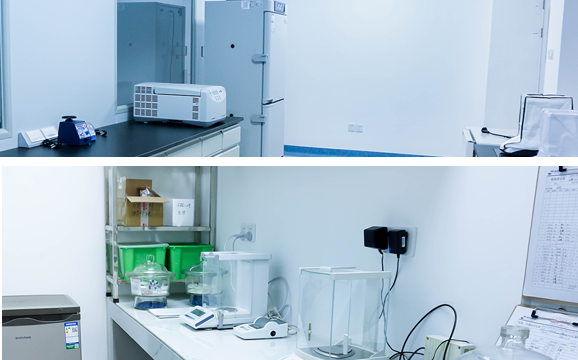 R&amp;D PLATFORM-Zitern medicine